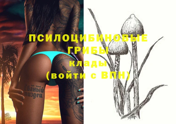 прущие крисы Бугульма
