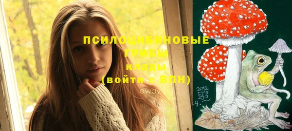 прущие крисы Бугульма